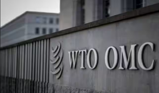 WTO Debates On Agriculture And Fisheries Fail!